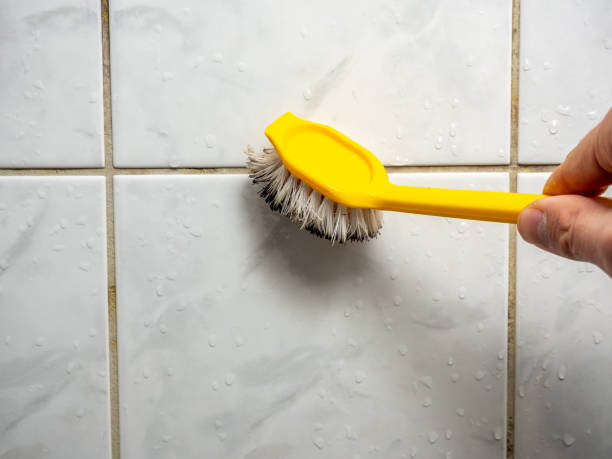 Best Office Mold Removal Services  in Franklin Park, FL