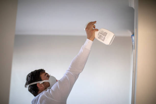 Best Emergency Mold Removal  in Franklin Park, FL