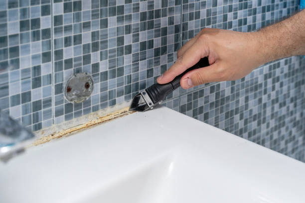 Best Home Mold Removal  in Franklin Park, FL